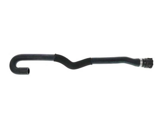 BMW Hose 64216911000